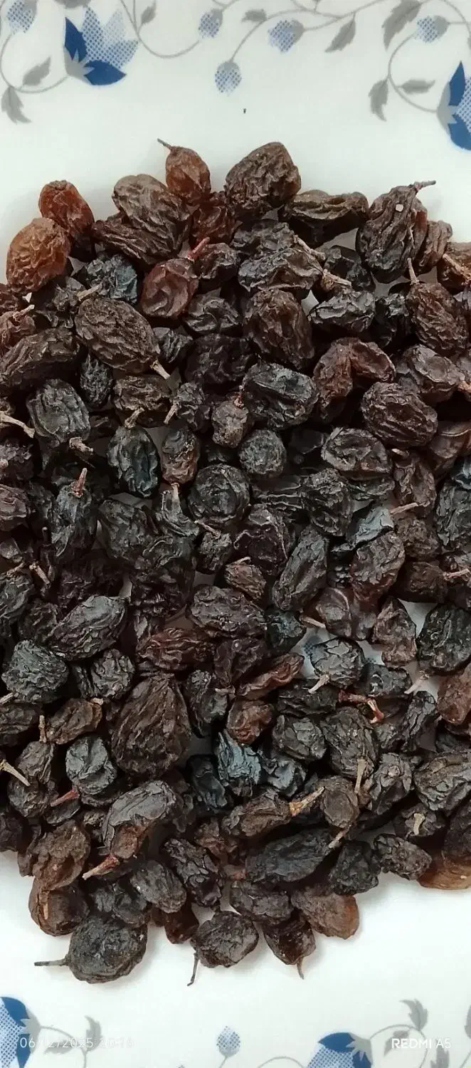 کشمش بیدانه دانه درشت|خوردنی و آشامیدنی|اقبالیه, |دیوار