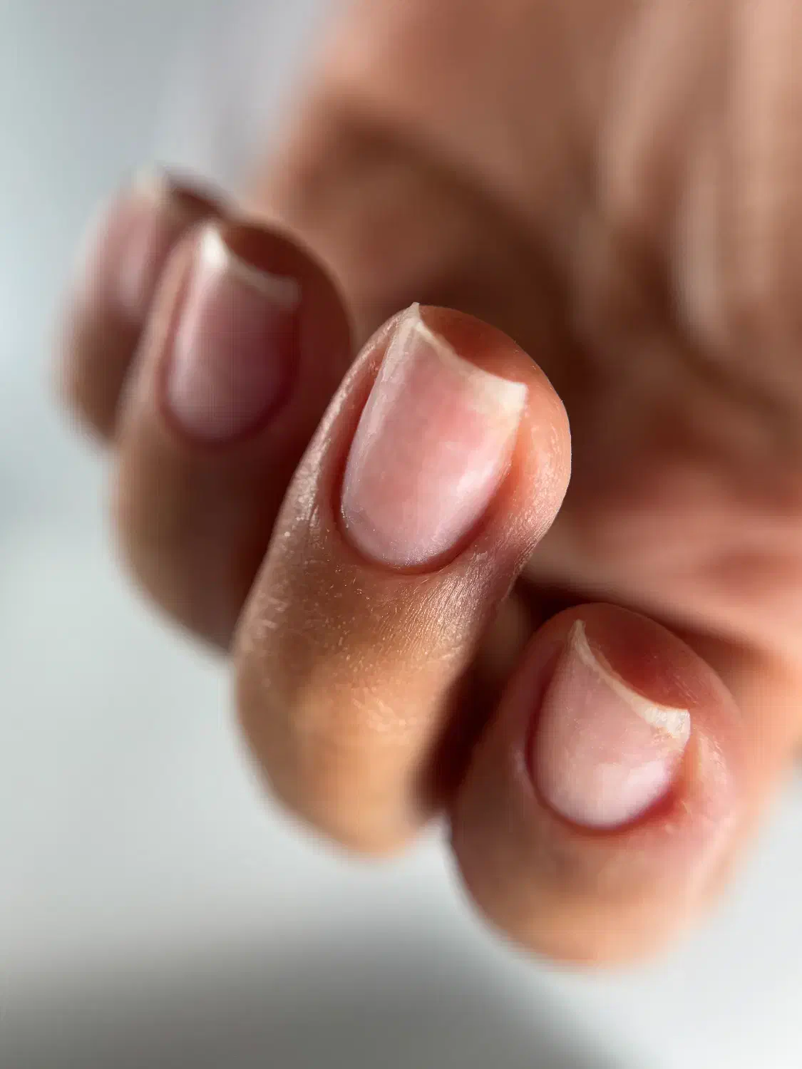 آموزش تخصصی مانیکور روسی و سالنی|خدمات آموزشی|رشت, کاکتوس|دیوار