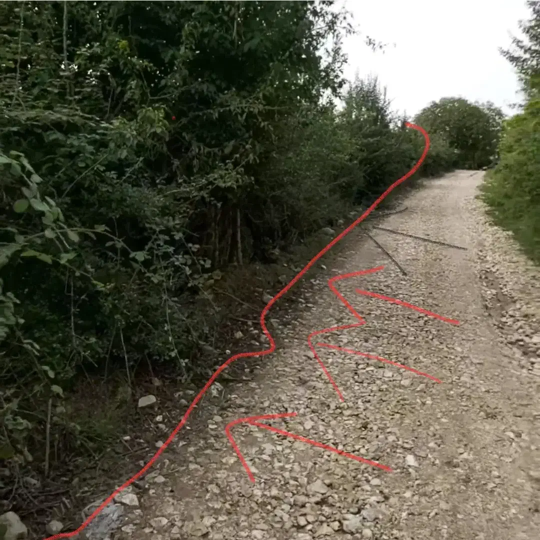 زمین باغ مرکبات ۸۳۰ متر|فروش زمین و ملک کلنگی|پایین هولار, |دیوار