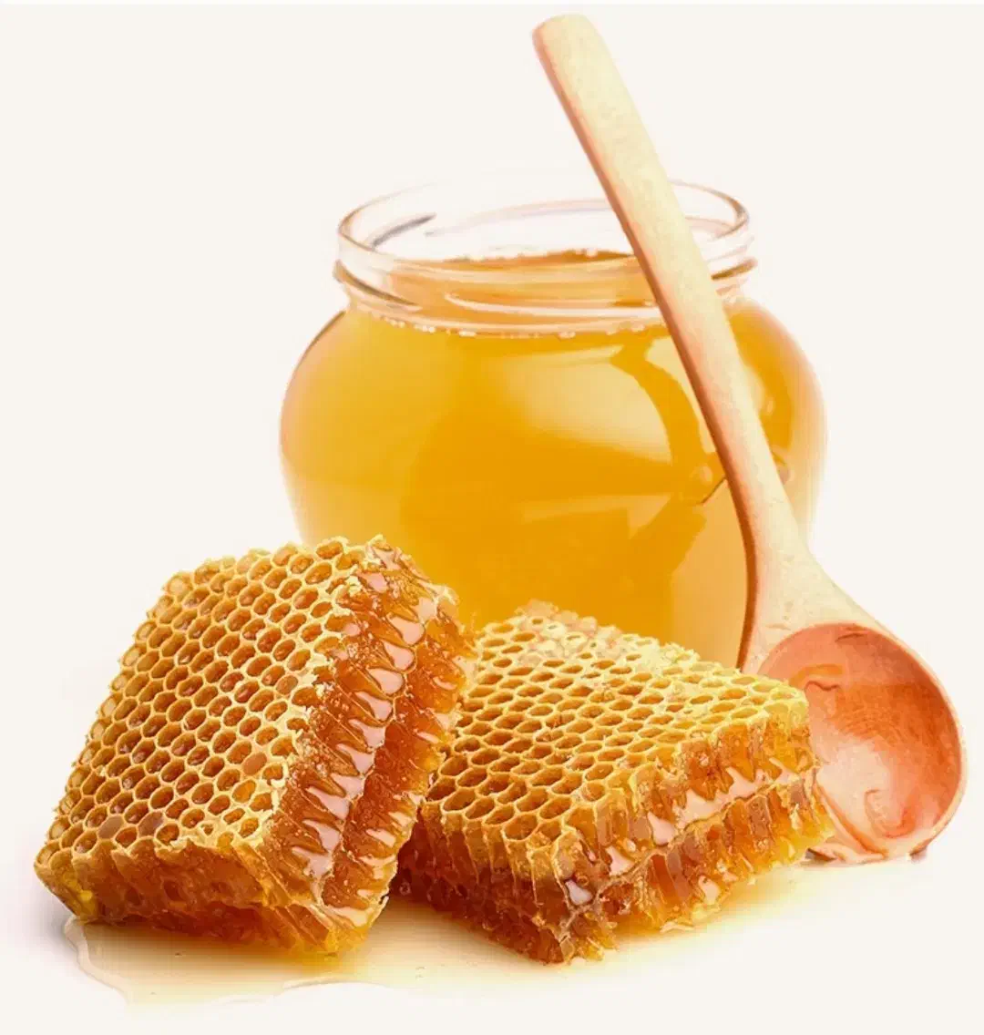 عسل طبیعی کوههای بینالود|خوردنی و آشامیدنی|مشهد, تربیت (صدف)|دیوار