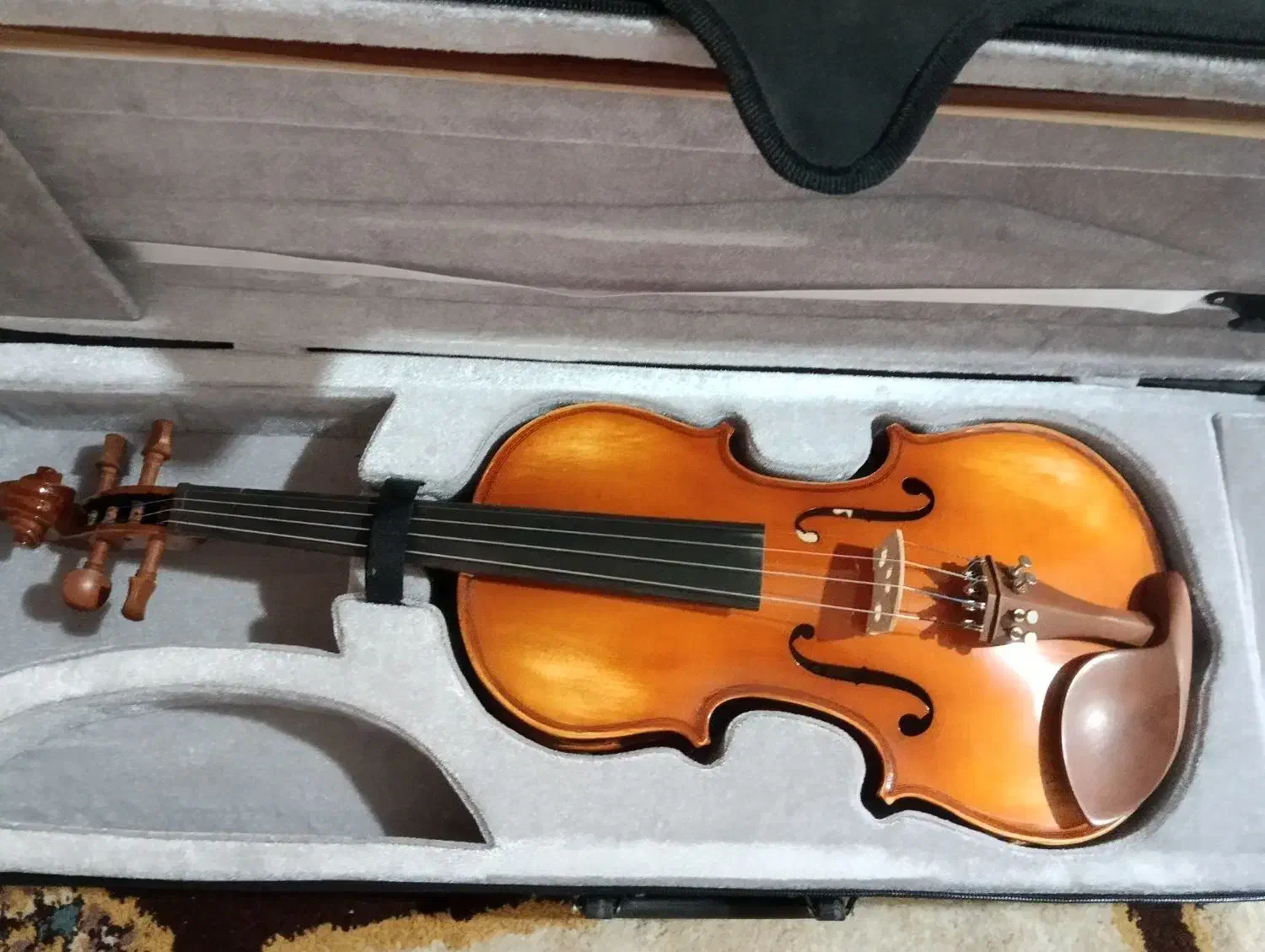 ویولن|ویولن|لامرد, |دیوار