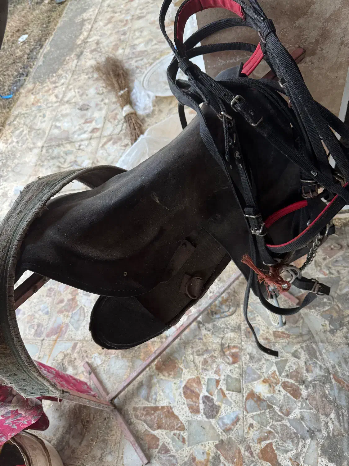 زین چرم|اسب و تجهیزات اسبسواری|رشت, کاکتوس|دیوار