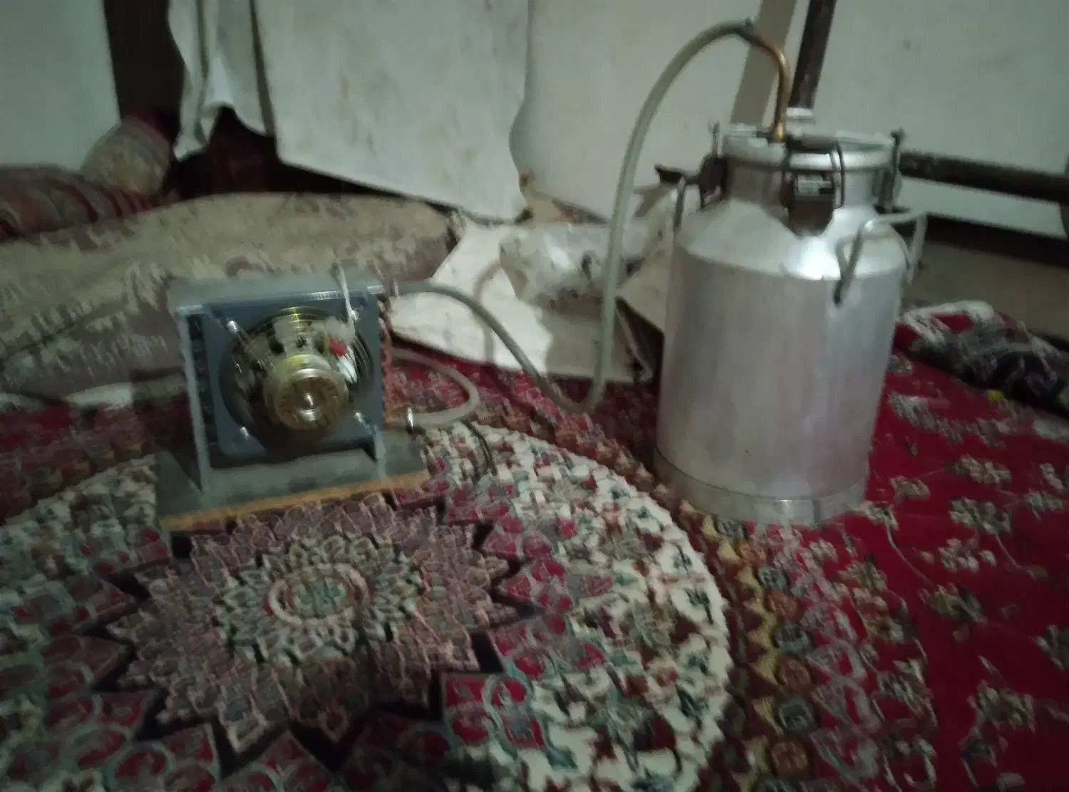 گلاب گیر|عمده‌فروشی|کنگاور, |دیوار