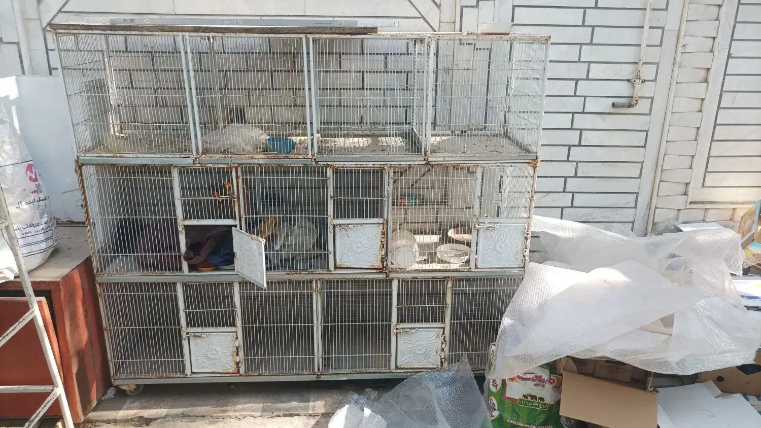 قغس پرنده|لوازم جانبی حیوانات|کازرون, |دیوار