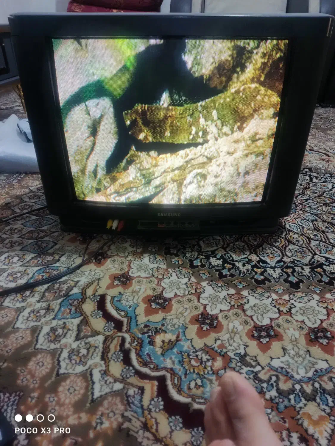 تلویزیون سامسونگ ۲۱|تلویزیون و پروژکتور|شیراز, شاپورجان|دیوار