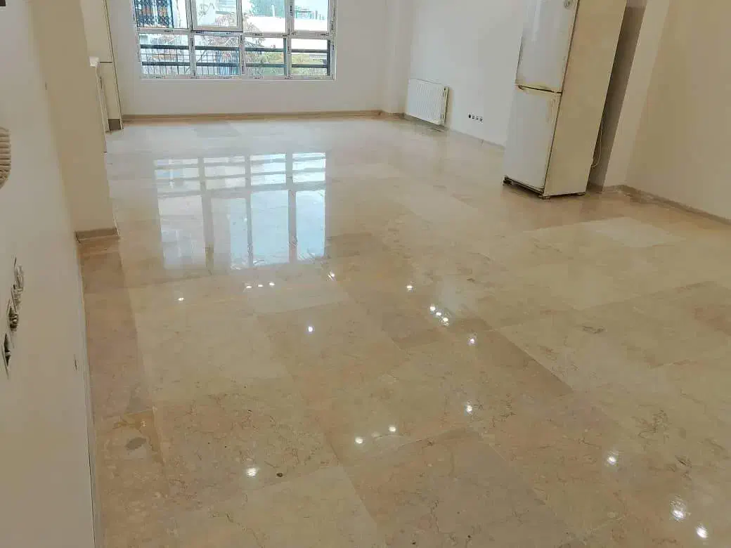 کفسابی حرفهای در تهران|خدمات نظافت|نسیمشهر, |دیوار