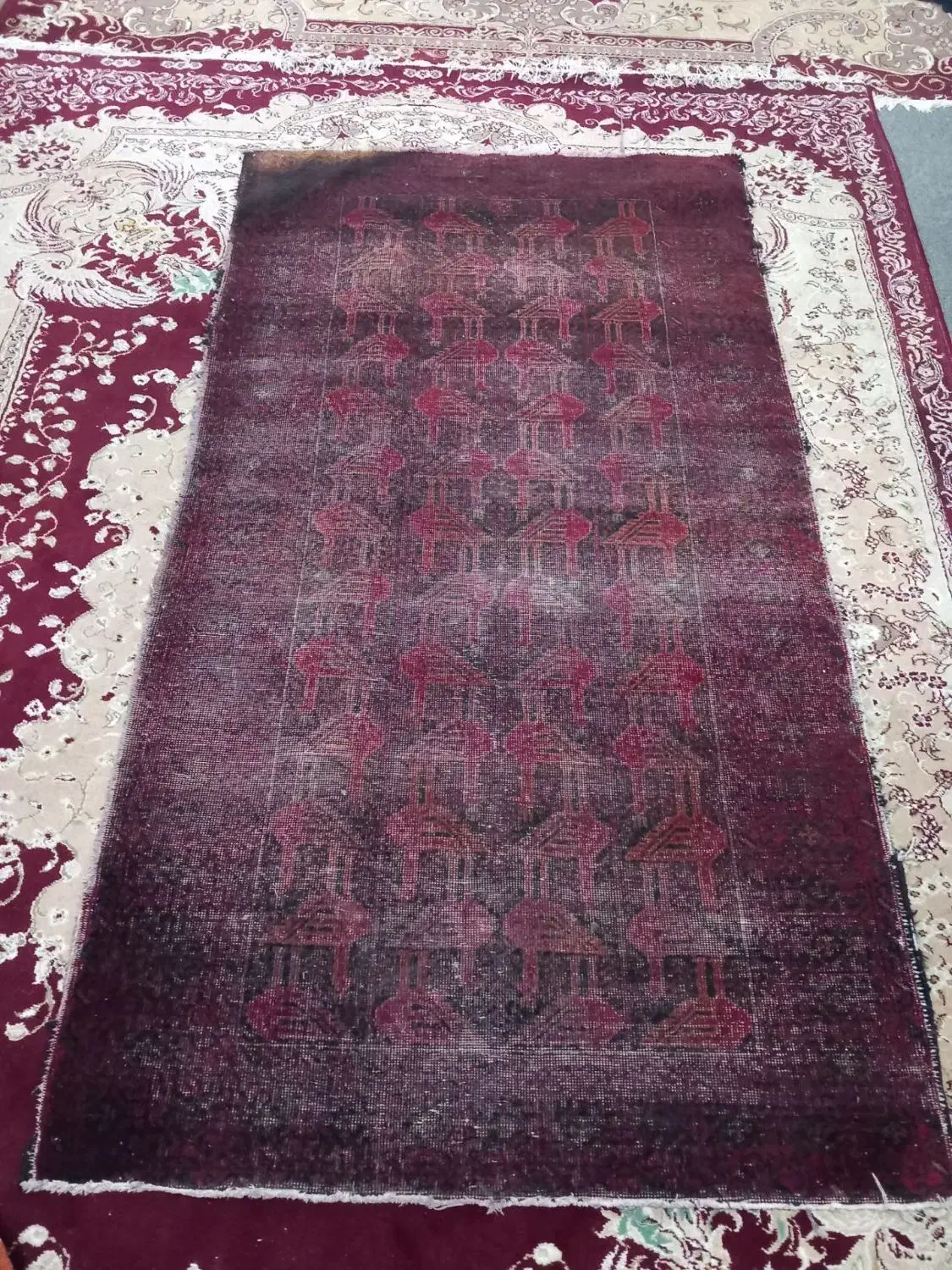 دو عدد فرش دست باف قدیمی|فرش|کوچصفهان, |دیوار