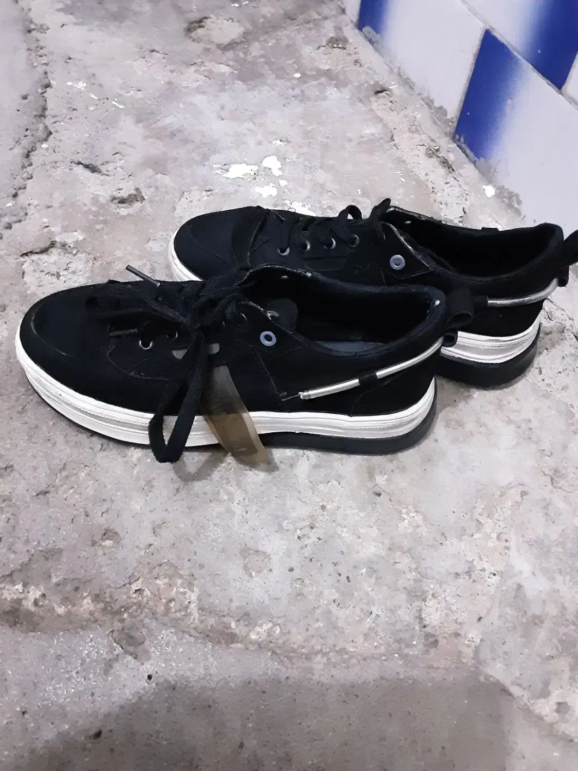 کفش سالم|کیف، کفش، کمربند|سقز, |دیوار