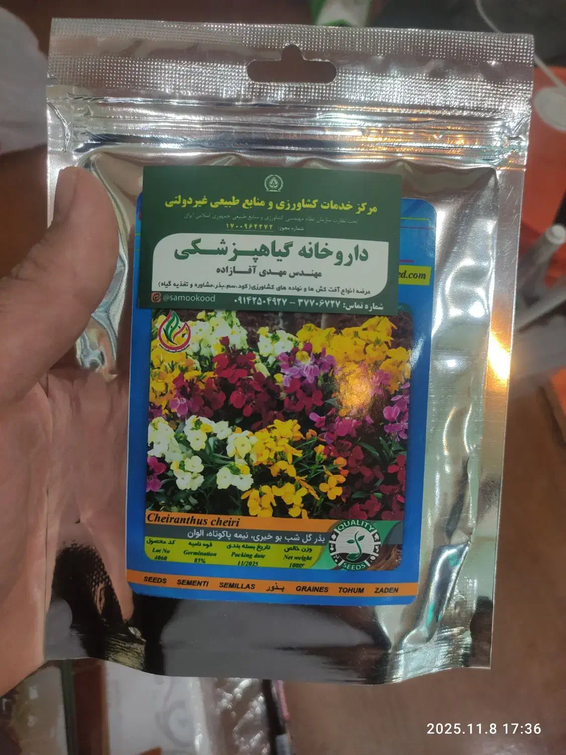 فروش انواع بذر گل به صورت فله مقدار بالا|گل و گیاه طبیعی|قم, تکیه آقا سید حسنی|دیوار