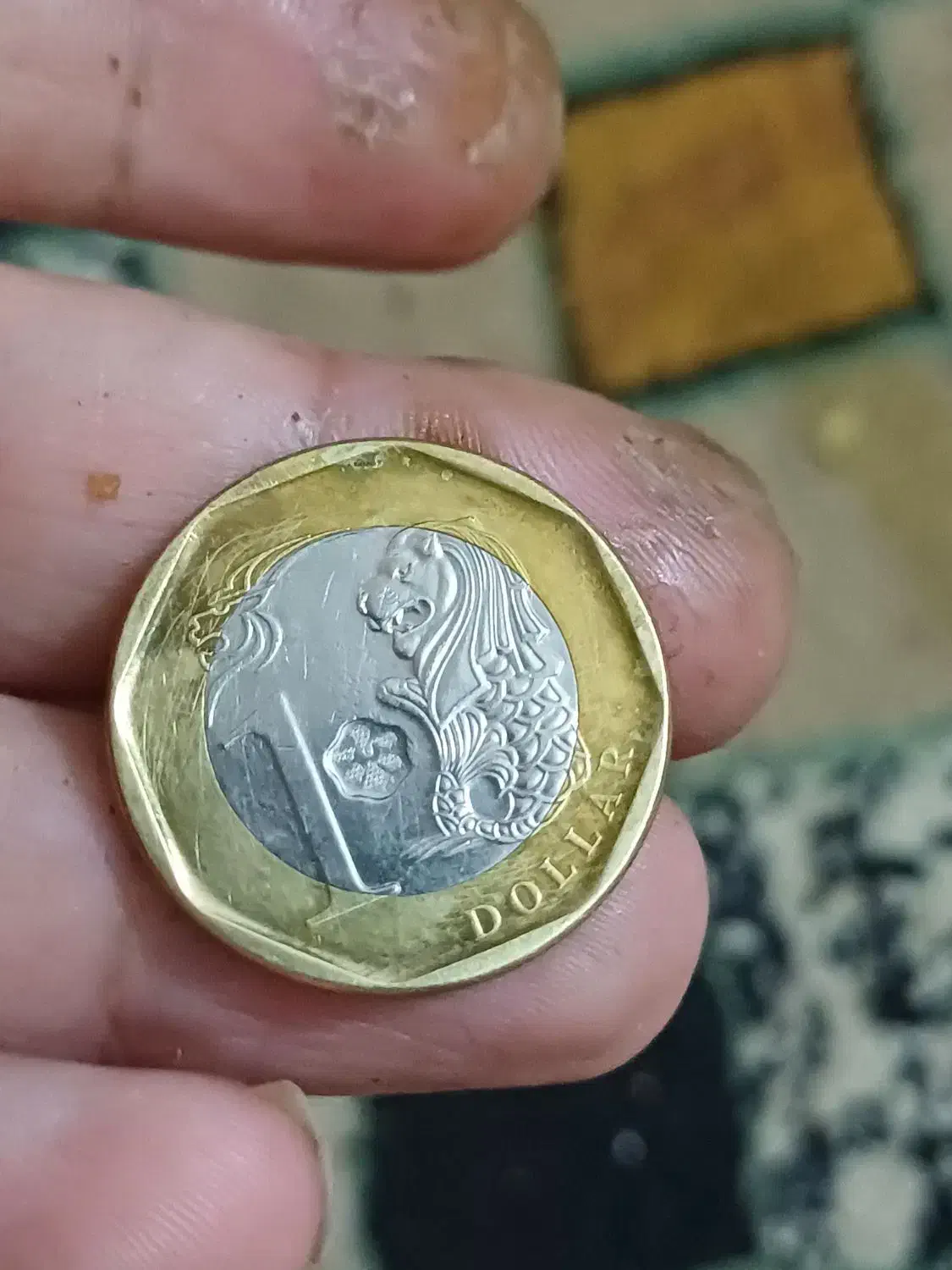 مقداری اسکناس وسکه|کلکسیون سکه، تمبر، اسکناس|بوشهر, |دیوار