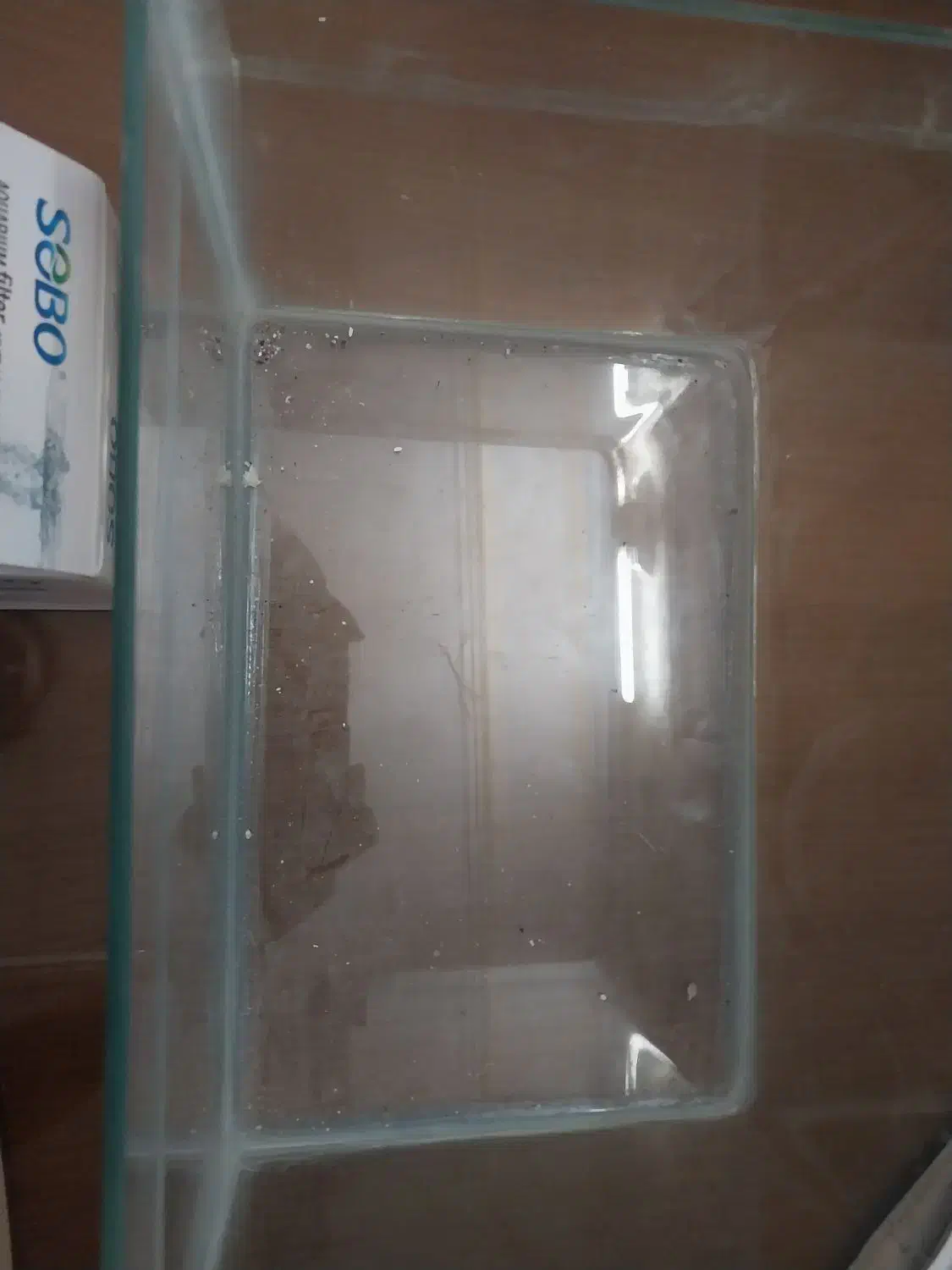 اکواریوم همراه پمپ|ماهی|تهران, مسعودیه|دیوار