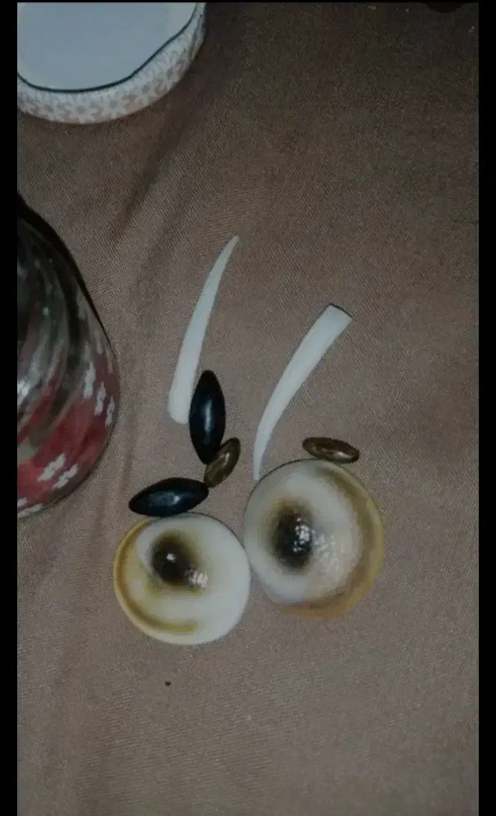 علوم غریبه|فعالیت داوطلبانه|کرج, شهرک سهرابیه|دیوار