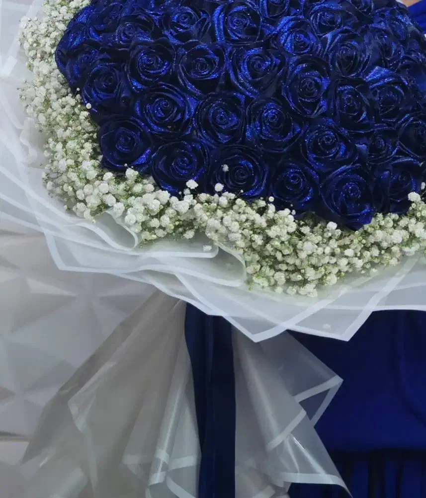 گل نازلی|گل و گیاه طبیعی|شاهین‌شهر, عطار|دیوار