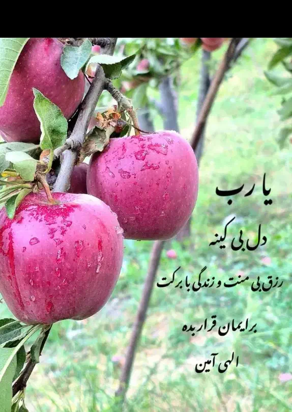 راهنمایی|فعالیت داوطلبانه|یاسوج, |دیوار