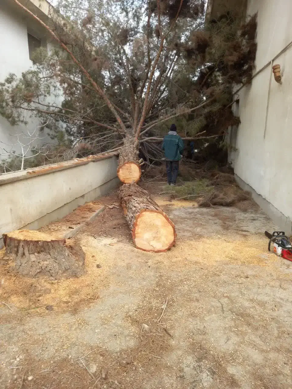 خدمات باغبانی اصفهان|خدمات باغبانی و درختکاری|اصفهان, اصفهانک|دیوار