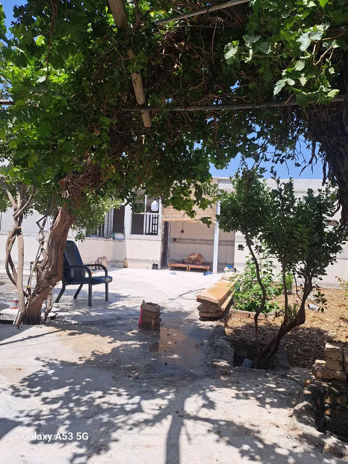 همخونه|اجارهٔ خانه و ویلا|رباطکریم, کیکاور|دیوار