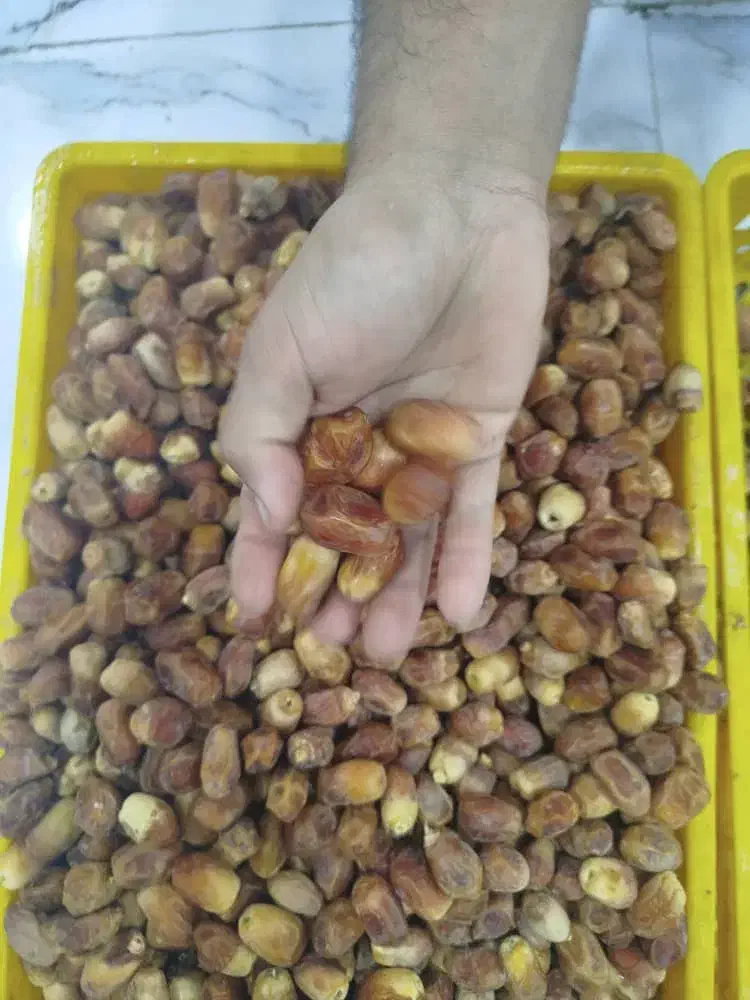 زاهدی (قصب)بهبهان|عمدهفروشی|سعدآباد, |دیوار