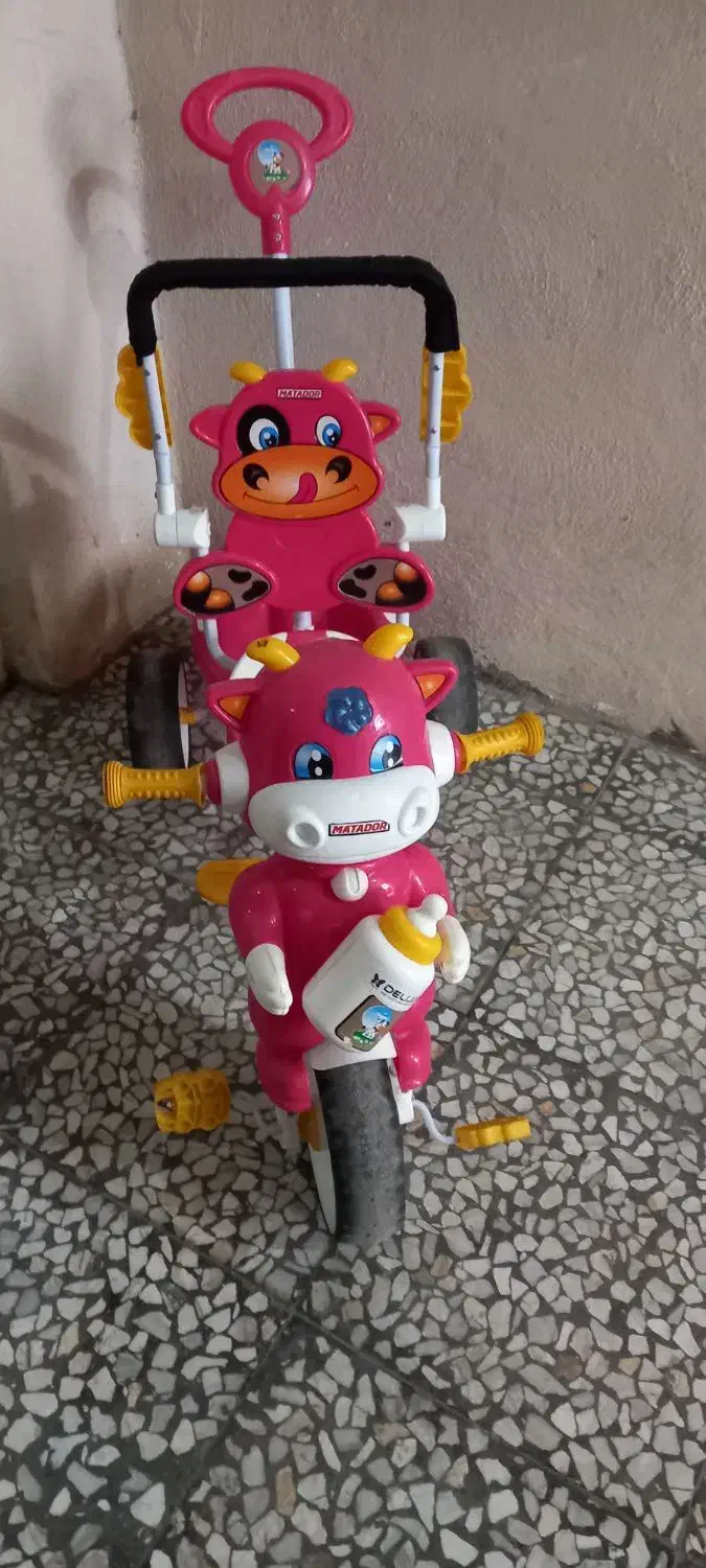 دوچرخه کودک|دوچرخه، اسکیت، اسکوتر|رشت, نخودچر|دیوار