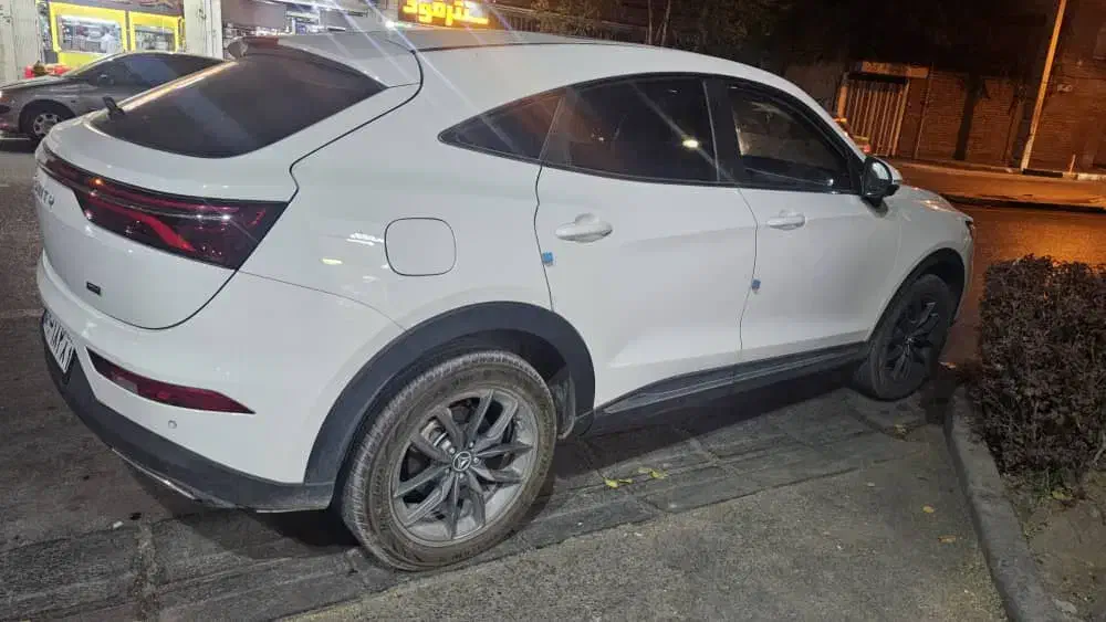 دیگنتی مدل ۴۰۲|خودرو سواری و وانت|باغ ملک, |دیوار