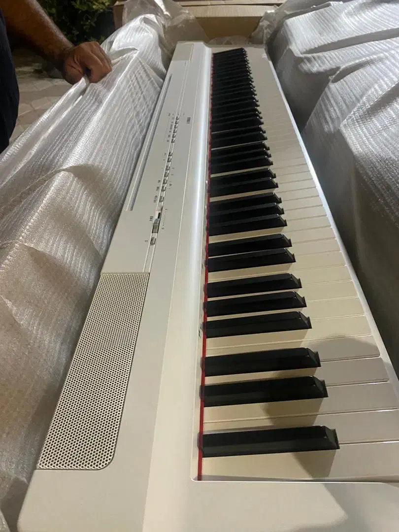 پیانو پرتابل p225 white|پیانو، کیبورد، آکاردئون|قزوین, |دیوار