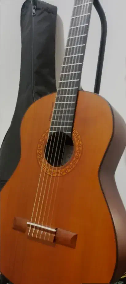 گیتار خوش صدا در حد نو|گیتار، بیس، امپلیفایر|ایلام, |دیوار