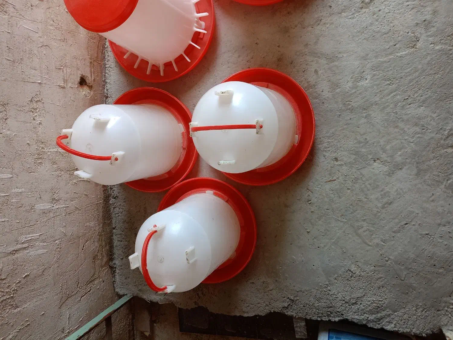 دان خوری وآب خوری|لوازم جانبی حیوانات|مرند, |دیوار