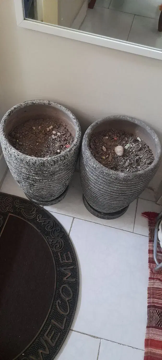 گلدان|گل و گیاه طبیعی|تهران, خاوران|دیوار