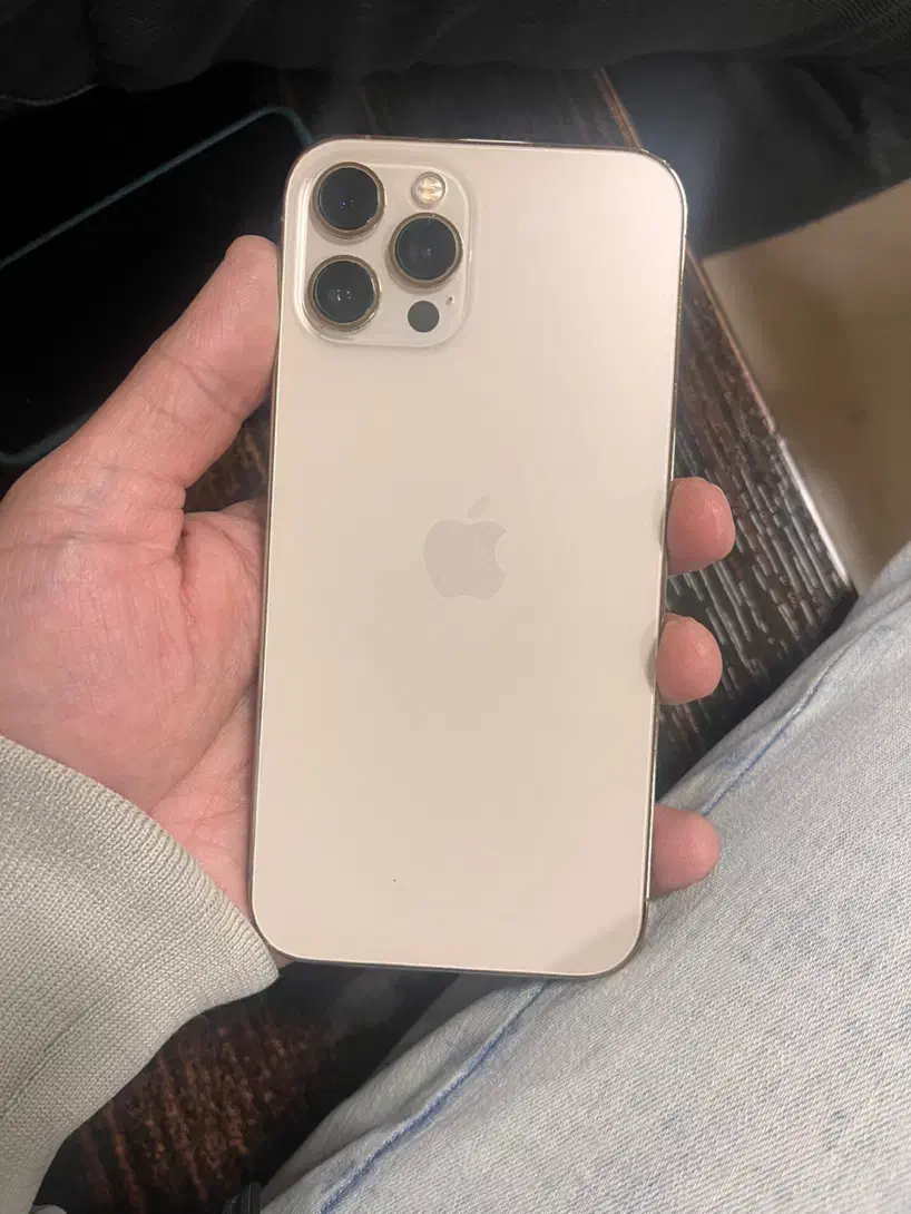 آیفون 12 promax|موبایل|شیراز, شهرک آرین|دیوار