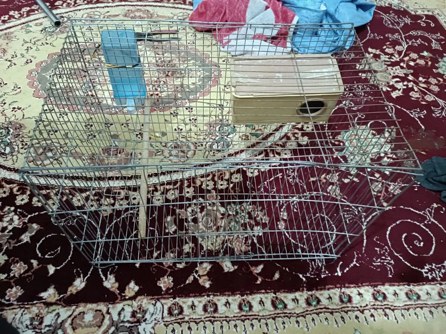 قفس|لوازم جانبی حیوانات|قیامدشت - خاورشهر, |دیوار