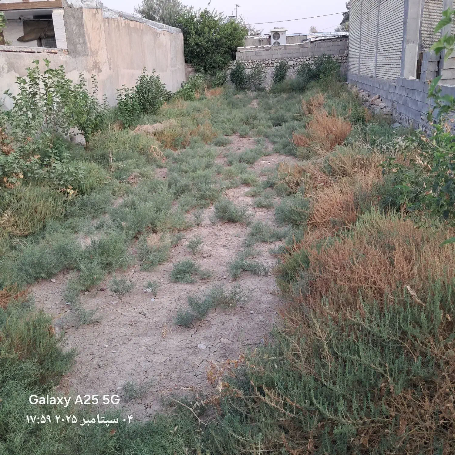 معاوضه زمین۲۶۰متری دارای سندتکبرگ باخودرو اروندی|فروش زمین و ملک کلنگی|باغ ملک, |دیوار