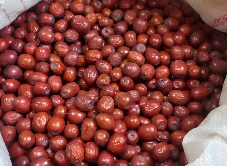 عناب|خوردنی و آشامیدنی|بیرجند, |دیوار