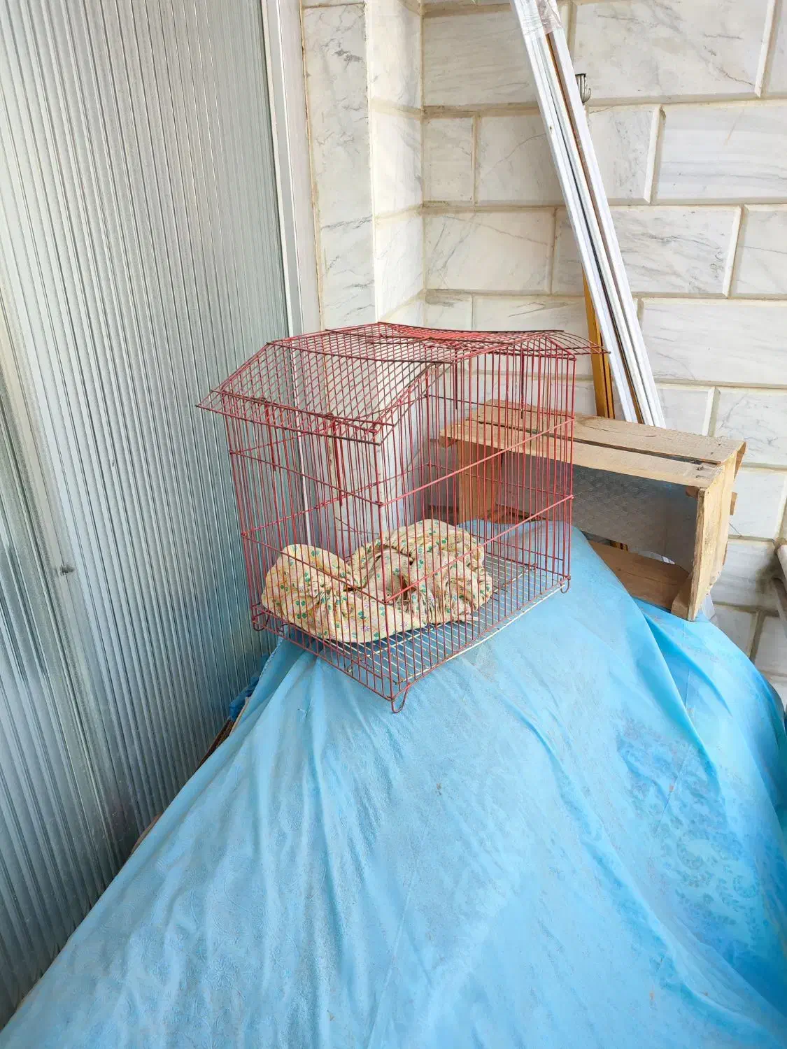 2عدد قفس پرنده|لوازم جانبی حیوانات|صومعه‌سرا, |دیوار