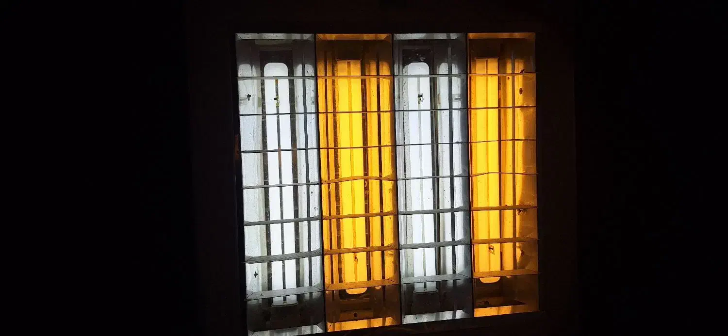 فروش تعدادی پنل سقفی تو کار 4 لامپه|لامپ و چراغ|رشت, امین الضرب|دیوار