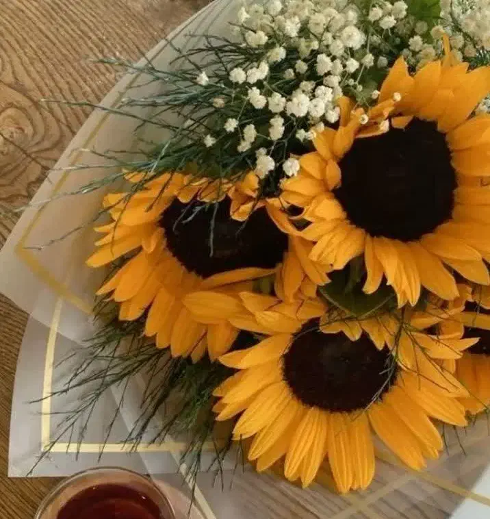 مدارک گم شده|اشیا|خرمآباد, |دیوار