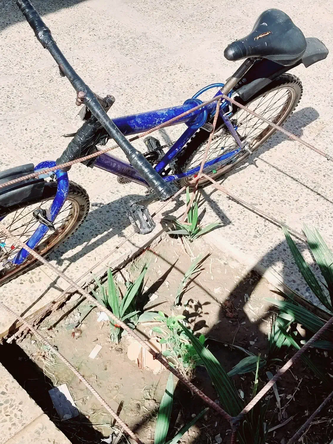 دوچرخه ۲۶|دوچرخه، اسکیت، اسکوتر|ایرانشهر, |دیوار