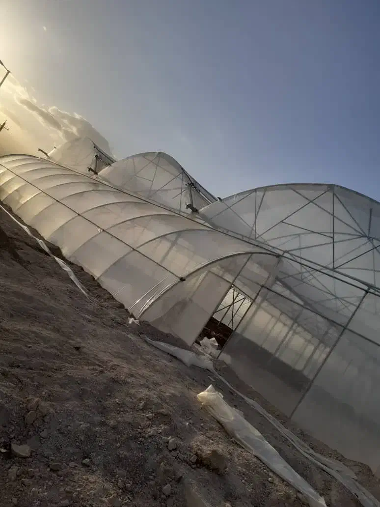 فروش ویژه سازه گلخانه صنعتی و خانگی|خدمات باغبانی و درختکاری|زاهدان, |دیوار