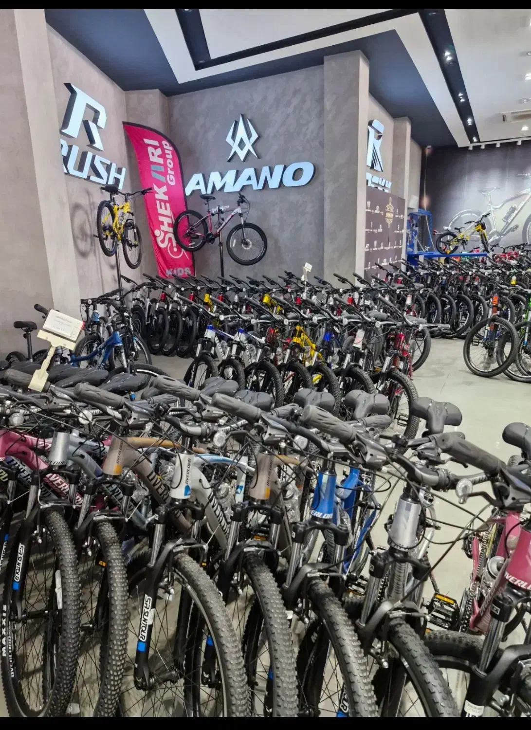 پخش کننده دوچرخه / بدون واسطه /آچارکشی رایگان|دوچرخه، اسکیت، اسکوتر|تهران, سلسبیل شمالی|دیوار