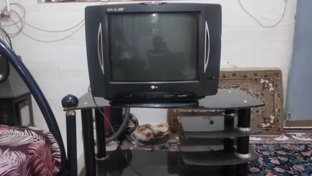 قالی تلویزیون فرش همگی 5میلیون میز تلویزیون نیست|فرش|شیراز, ریاستی|دیوار