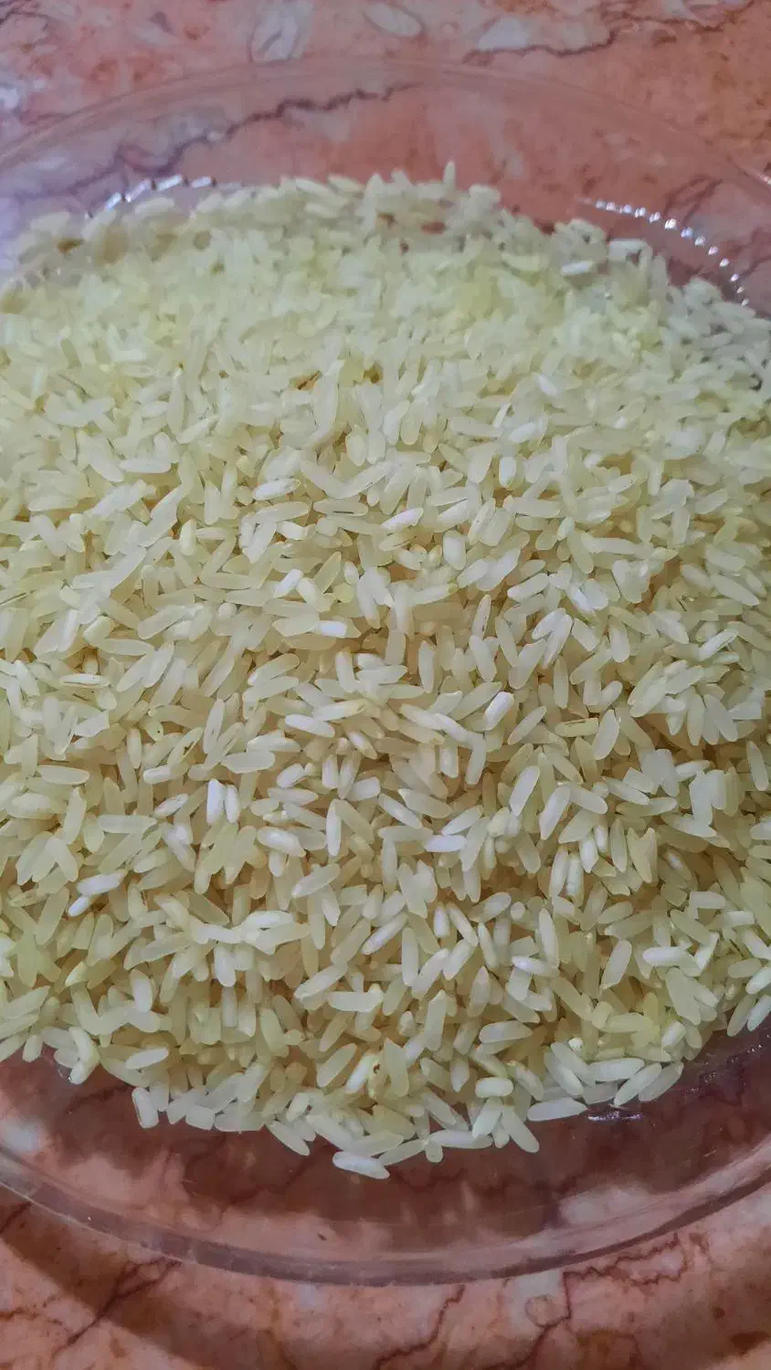 برنج چمپا ۲۰۰|خوردنی و آشامیدنی|شاهین‌شهر, عطار|دیوار