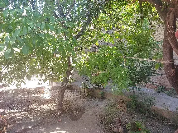 خانه ویلایی کلنگی تهاتر با آپارتمان|فروش خانه و ویلا|گلمکان, |دیوار