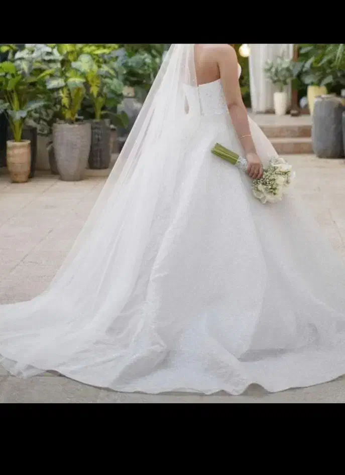 مجلسی عروس|لباس|بوشهر, |دیوار