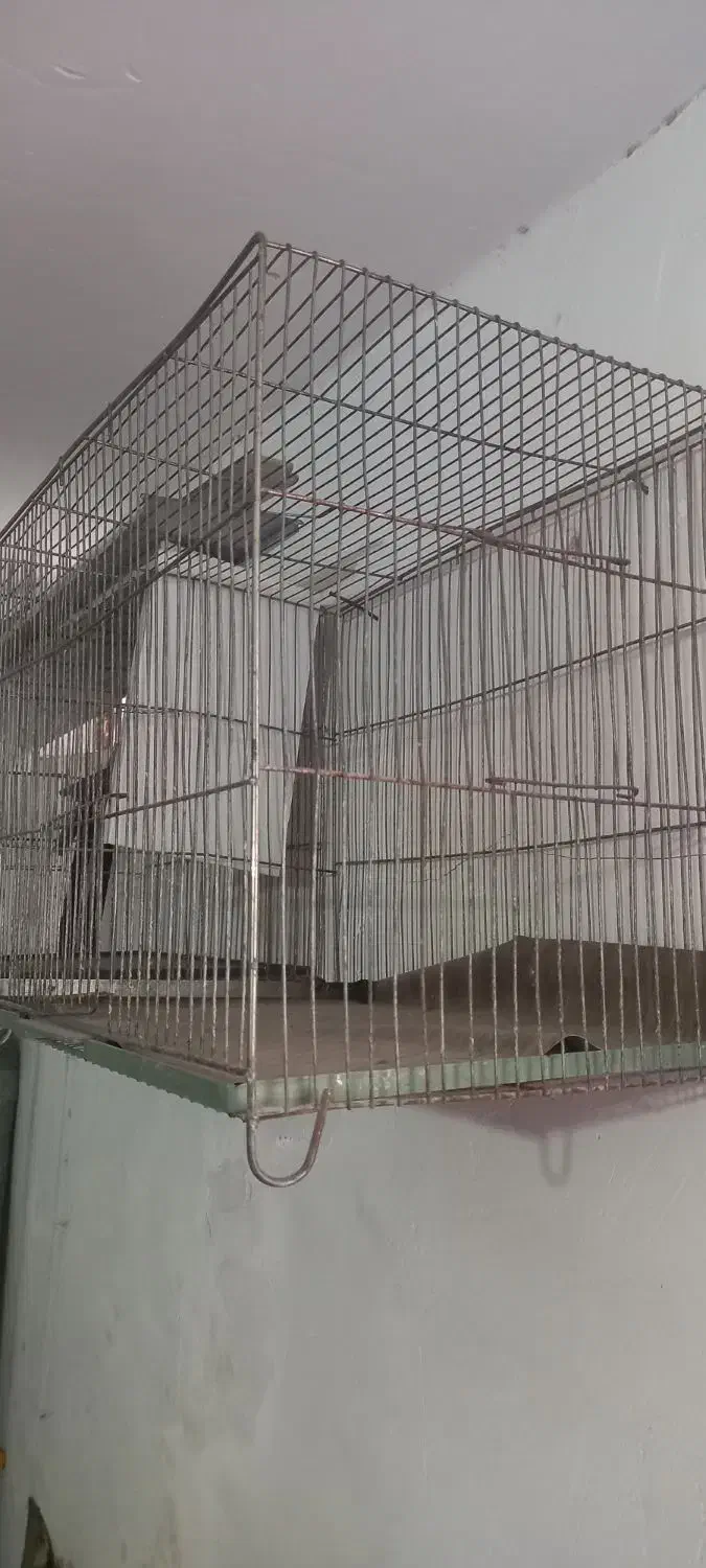 قفس پرنده|لوازم جانبی حیوانات|بروجرد, |دیوار