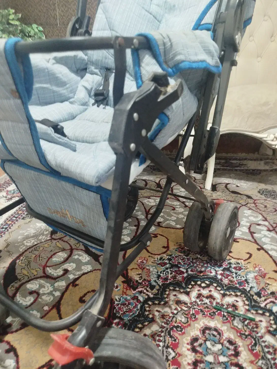 کالسکه|کالسکه و لوازم جانبی|سنندج, |دیوار