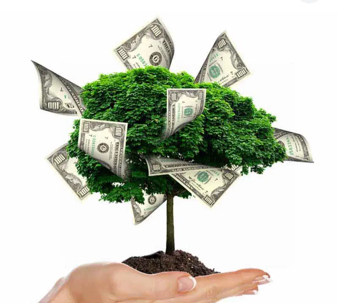 نیازمند سرمایه|خدمات مالی، حسابداری، بیمه|شهرکرد, |دیوار