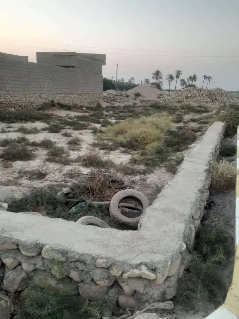 زمین 359 متری نزدیک بنه گز|فروش زمین و ملک کلنگی|اهرم, |دیوار