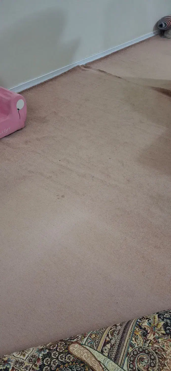 موکت.رنگ پوست پیازی|موکت|اهواز, گلستان|دیوار