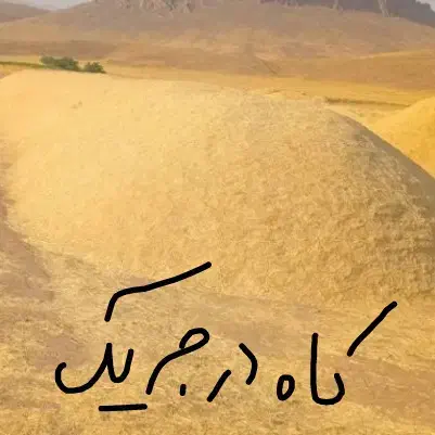 کاه گندم|لوازم جانبی حیوانات|اردل, |دیوار