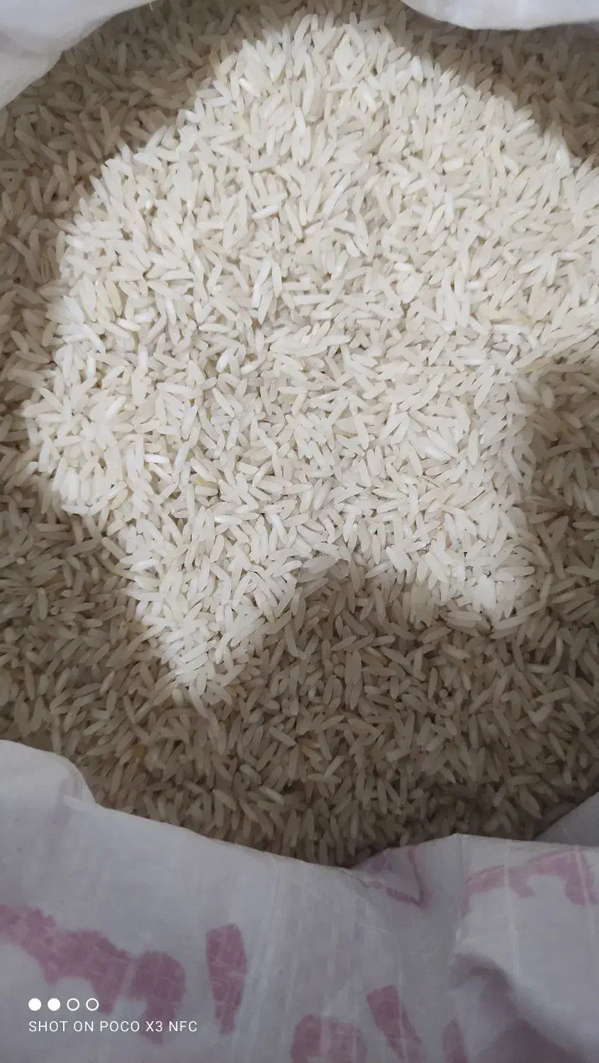 انواع برنج محلی و ایرانی|خوردنی و آشامیدنی|شیراز, احمدی جنوبی|دیوار