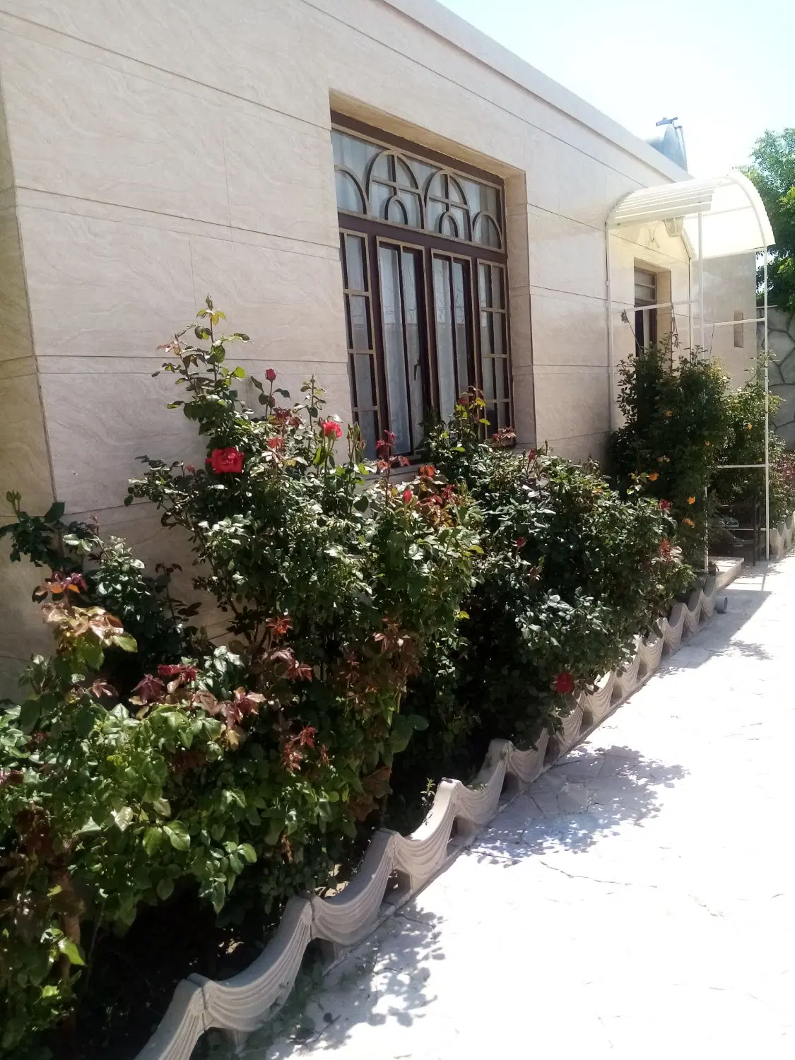 تصویر 3