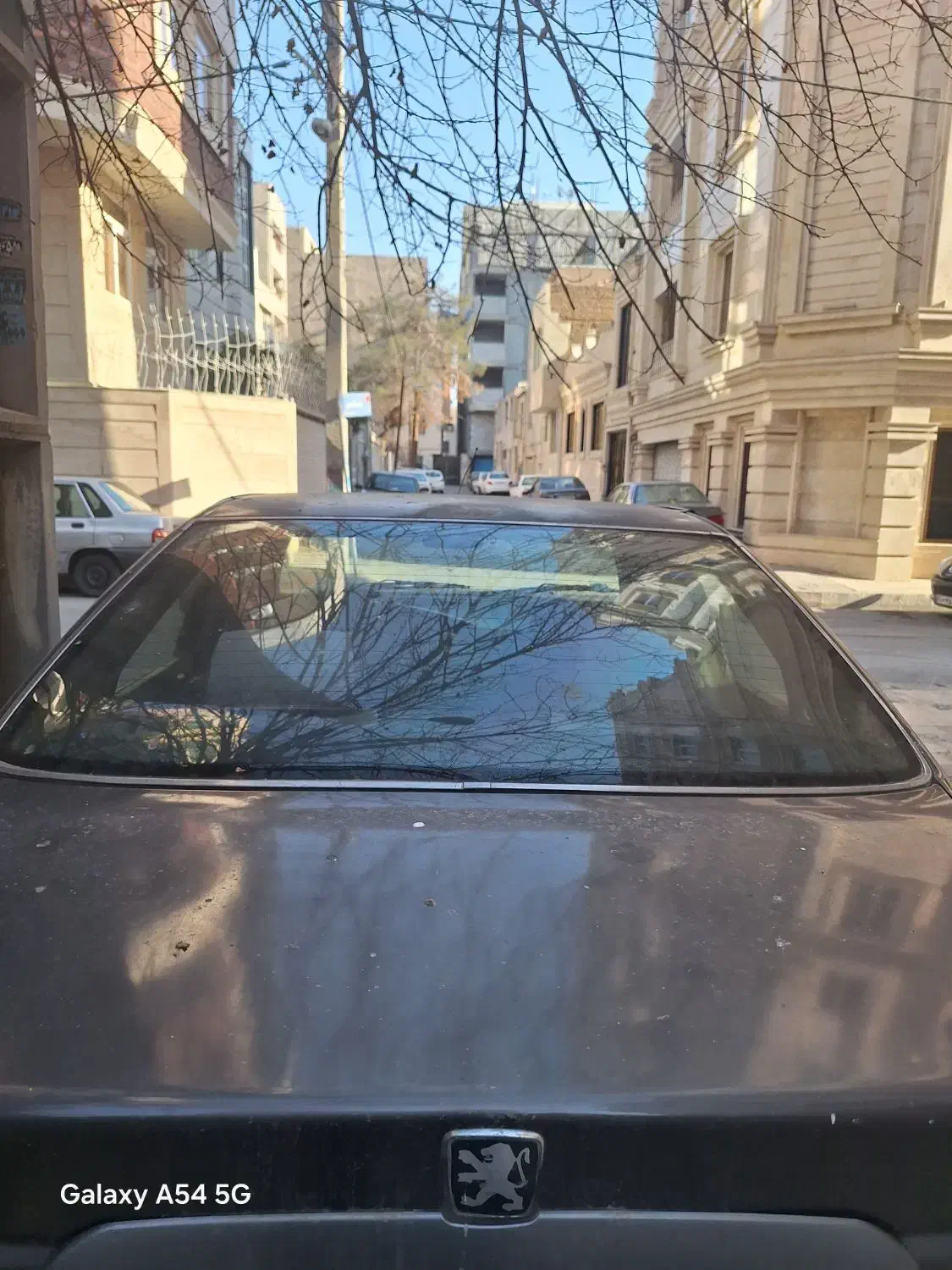 فروش پرشیا مدل ۱۳۸۱ نوک مدادی|خودرو سواری و وانت|ورامین, ورامین|دیوار